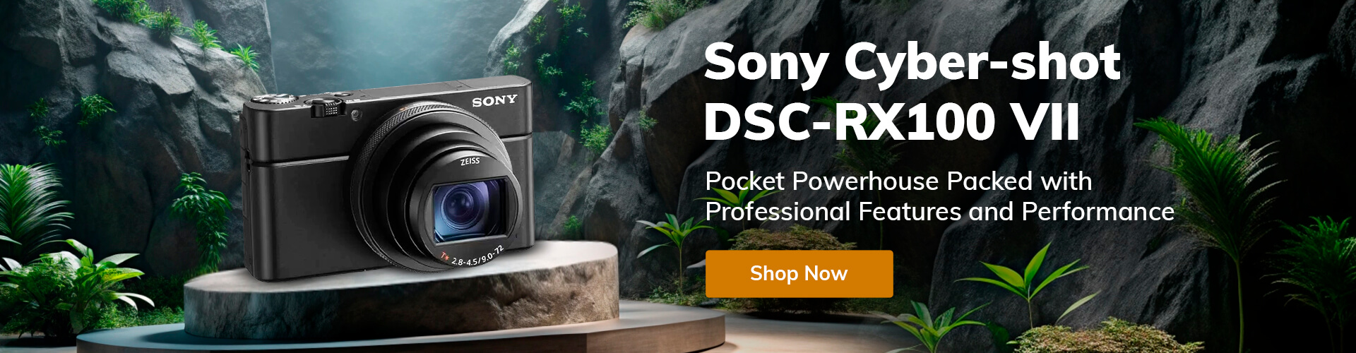 Sony Cyber-shot DSC RX100