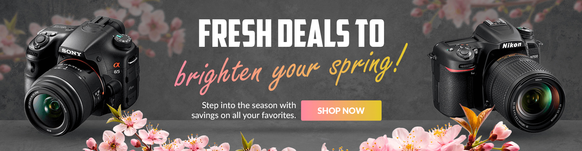 Spring Deals